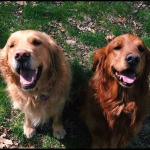 Meet your Posher, Bbrenna